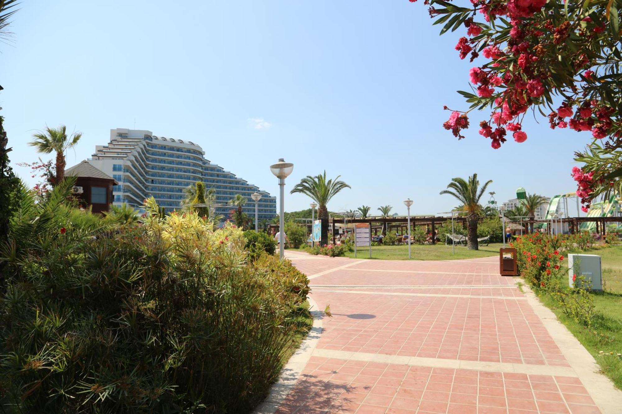 Venosa Beach Resort & Spa ดีดิม ภายนอก รูปภาพ